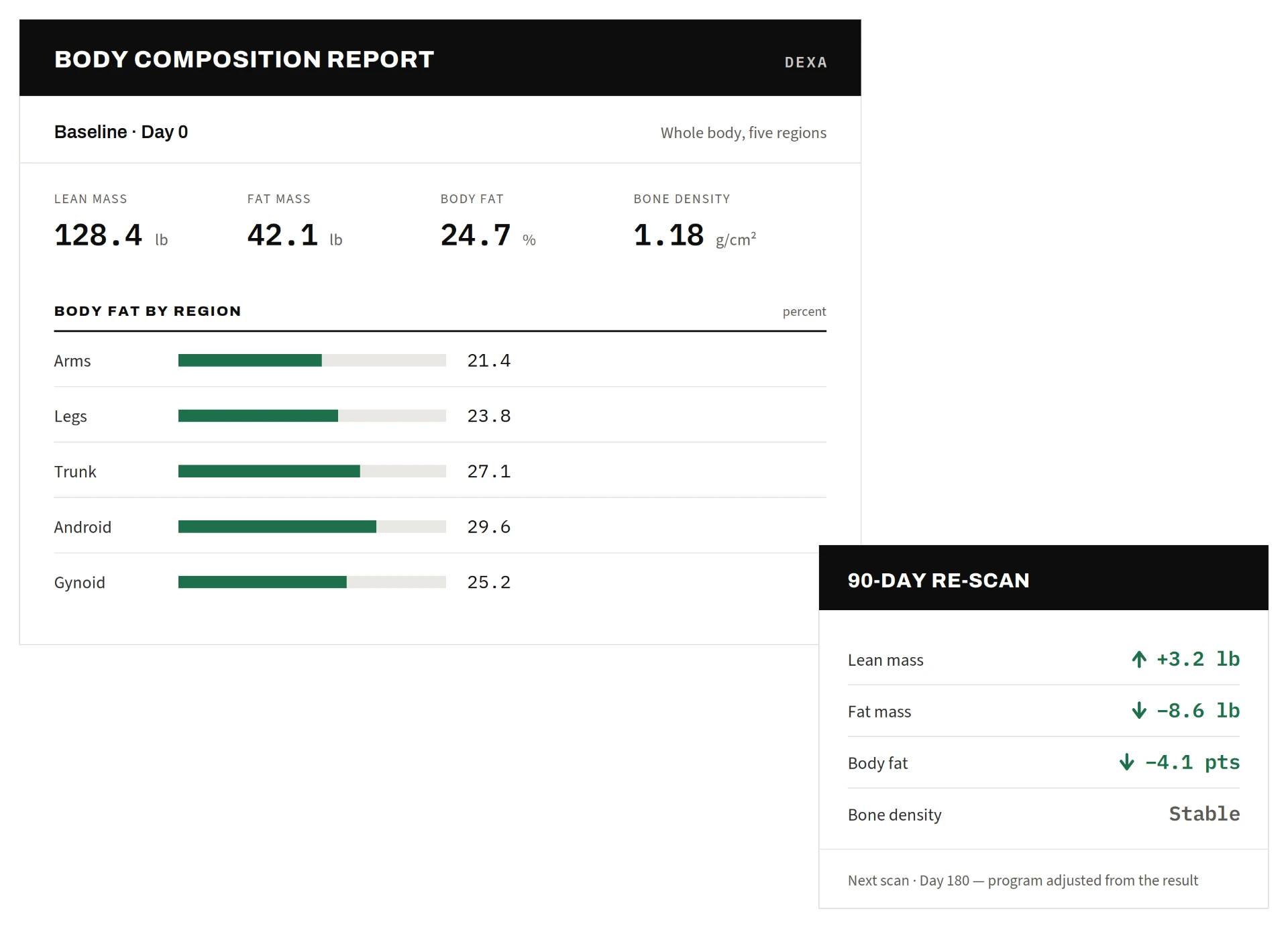 Illustrative DEXA body composition report showing lean mass, fat mass, body fat and bone density, with a 90-day re-scan comparison